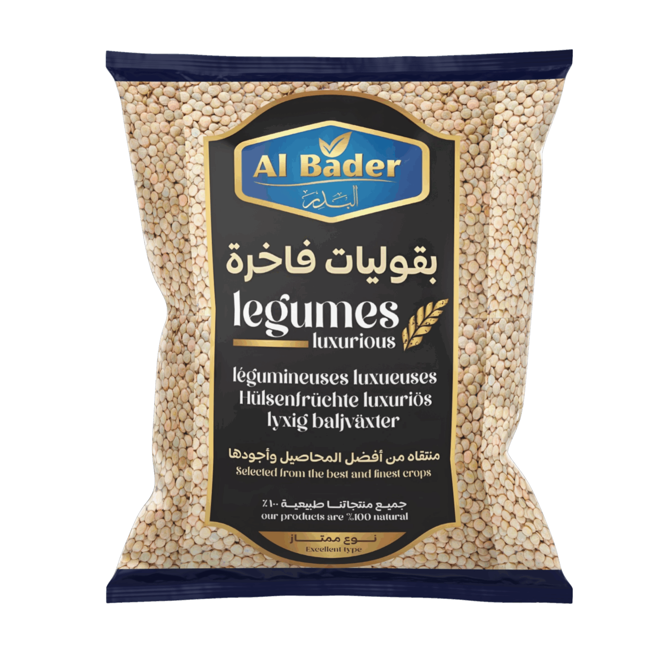 عدس بني جاف
